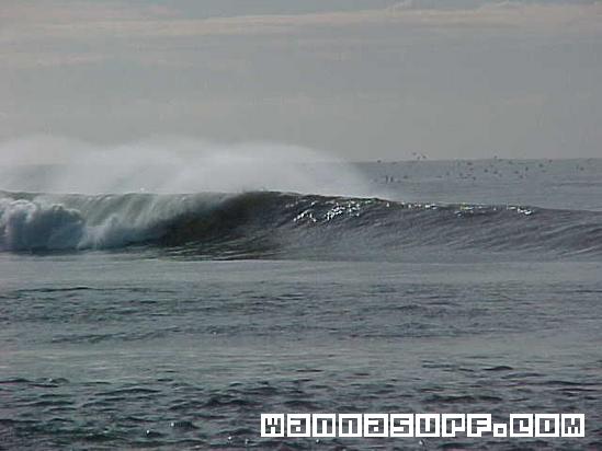 photo de surf