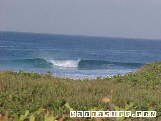 photo de surf