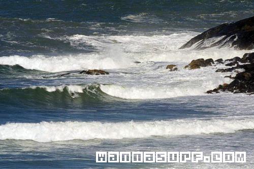photo de surf
