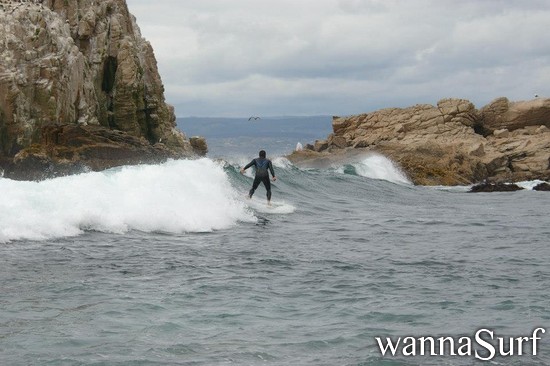 photo de surf