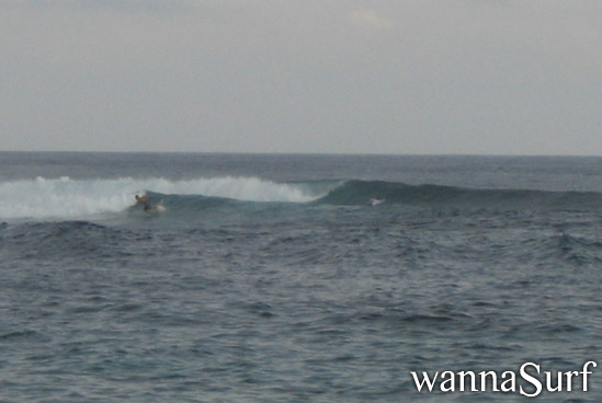 photo de surf