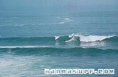 photo de surf