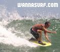 photo de surf