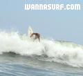 photo de surf