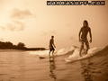 photo de surf