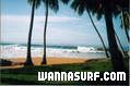 photo de surf