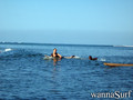photo de surf