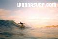 photo de surf