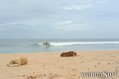 photo de surf