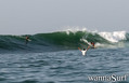 photo de surf