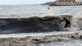 photo de surf