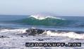 photo de surf