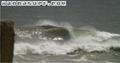 photo de surf