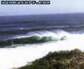 photo de surf