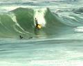 photo de surf