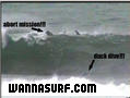 photo de surf