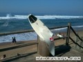 photo de surf