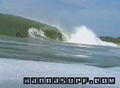 photo de surf