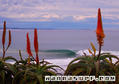photo de surf