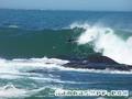 photo de surf