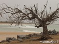photo de surf