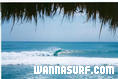 photo de surf