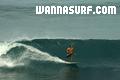 photo de surf