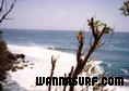 photo de surf