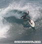 photo de surf