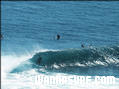 photo de surf