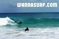 photo de surf