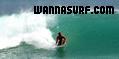 photo de surf