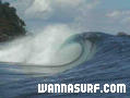 photo de surf