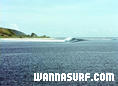 photo de surf