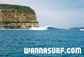 photo de surf