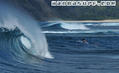 photo de surf