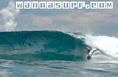 photo de surf