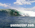 photo de surf