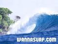photo de surf
