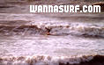 photo de surf