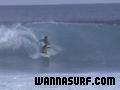 photo de surf