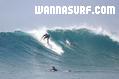 photo de surf