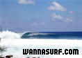 photo de surf