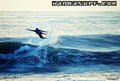 photo de surf