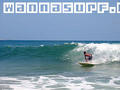 photo de surf