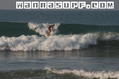 photo de surf