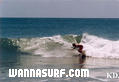 photo de surf
