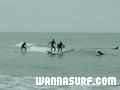 photo de surf