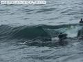 photo de surf