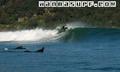 photo de surf